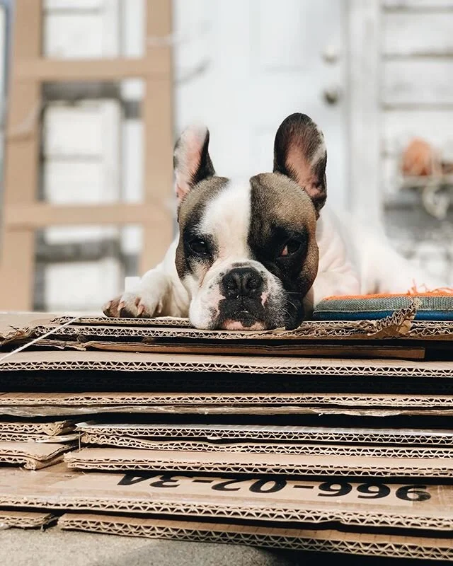 When it&rsquo;s quarantine, does it even matter that it&rsquo;s the weekend?