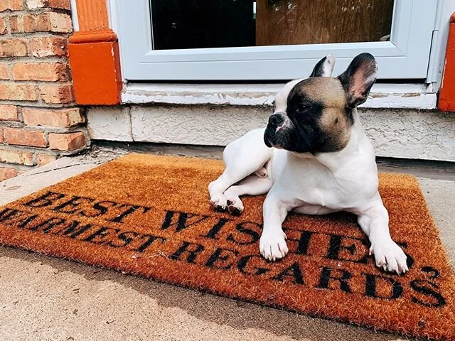 Neighborhood Watch reporting for duty! 👮🏻&zwj;♂️10 seconds after this picture was taken, I chased a bunny out of the next door neighbor&rsquo;s yard, across the street, and into another neighbor&rsquo;s backyard. The funniest part is my brother Hug