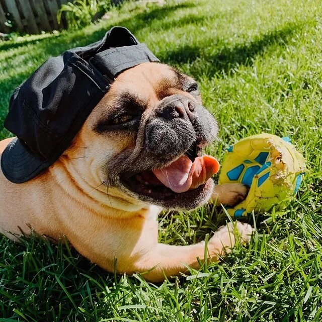 Summer, summer, summertime ☀️