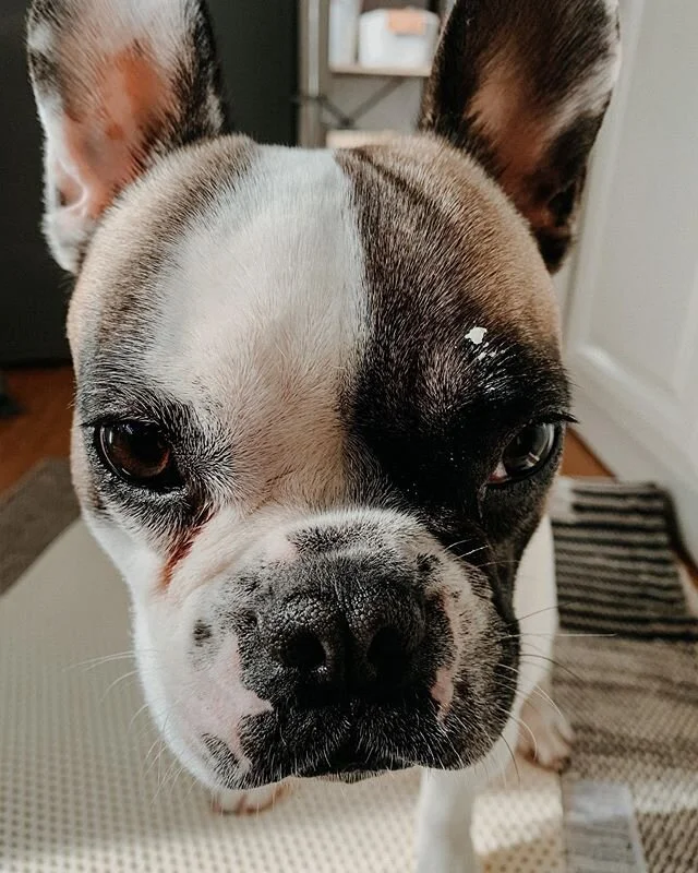 Hey V, any idea who ate all the butter? 🧈