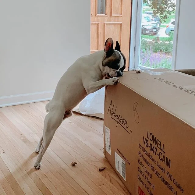 Public Enemy #1: Cardboard Boxes