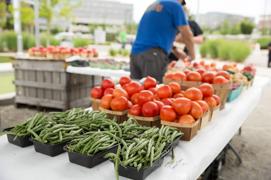 southpointe_town_center_farmer's_market__7-13-17_0021-opt.jpg