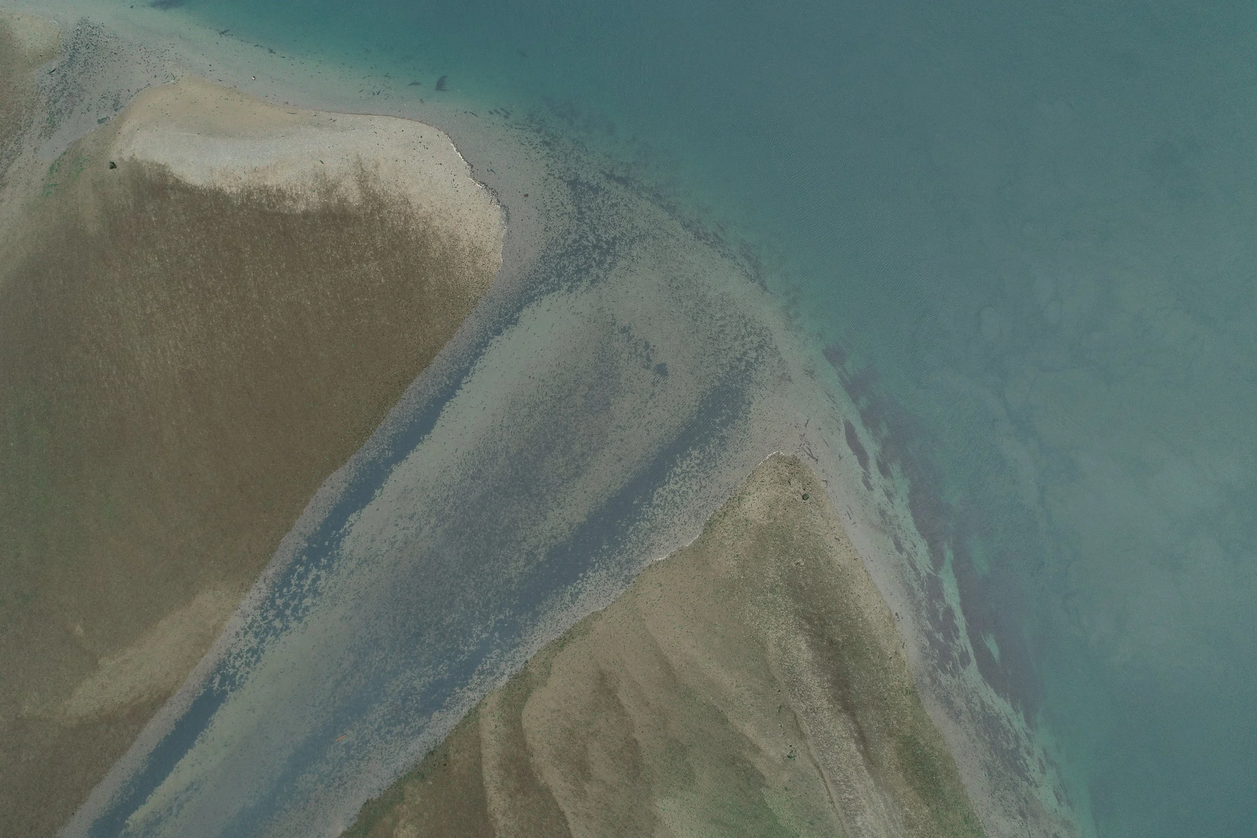 DJI_0537.JPG