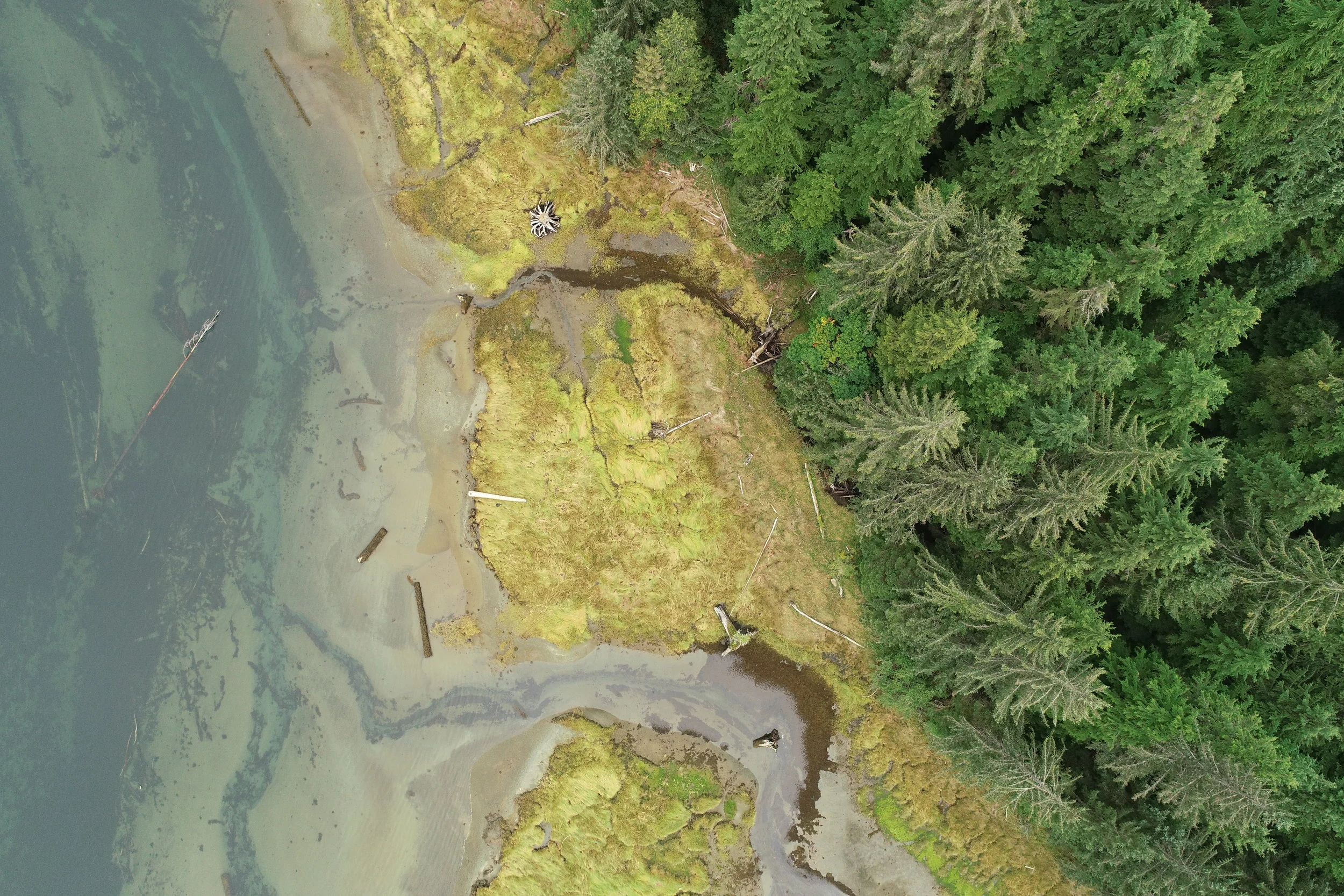 Crowdfunding Image Gallery