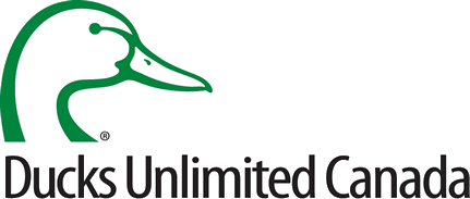 ducks-unlmimted-logo-web.png