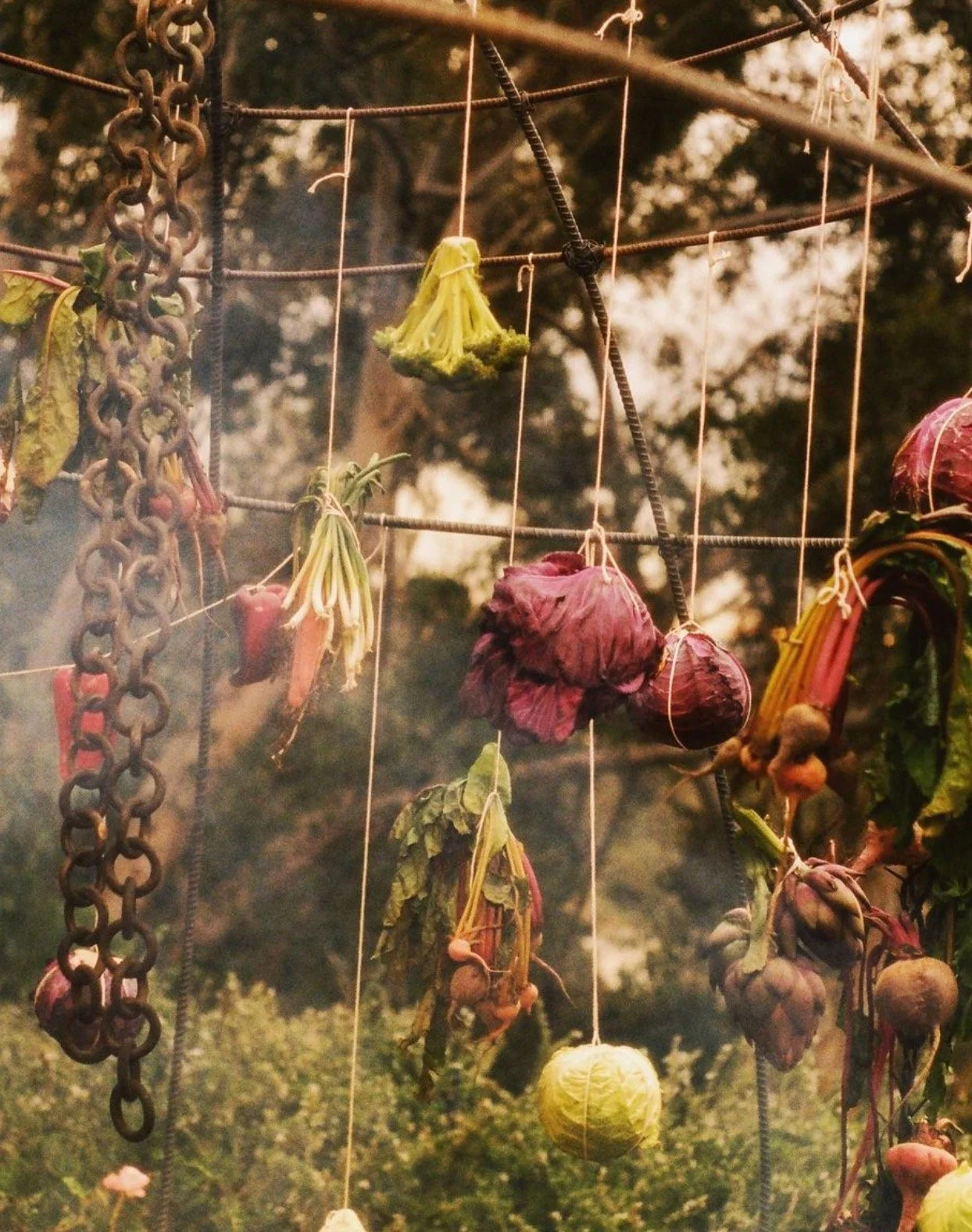 Screenshot 2023-08-29 at 10.07.54 PM (1).jpeg