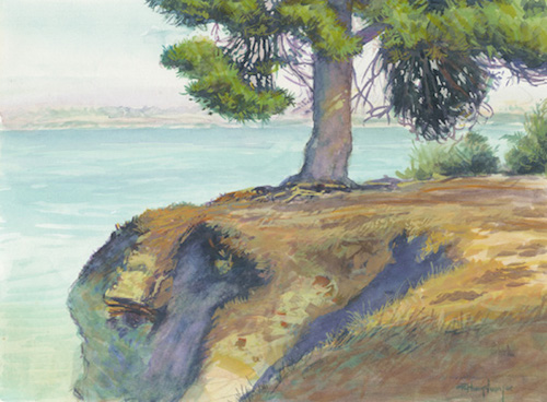 A Quiet Morning Along the Cliffs
