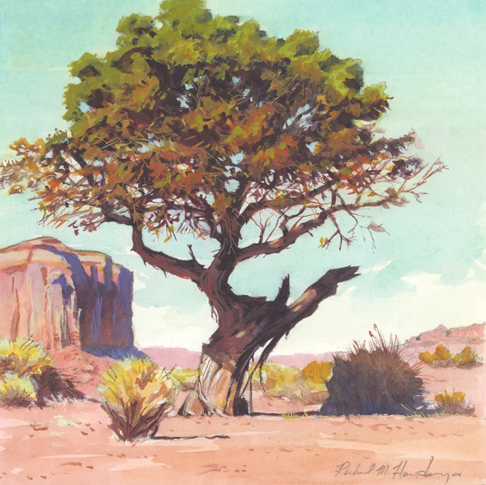 Valley Juniper, Monument Valley