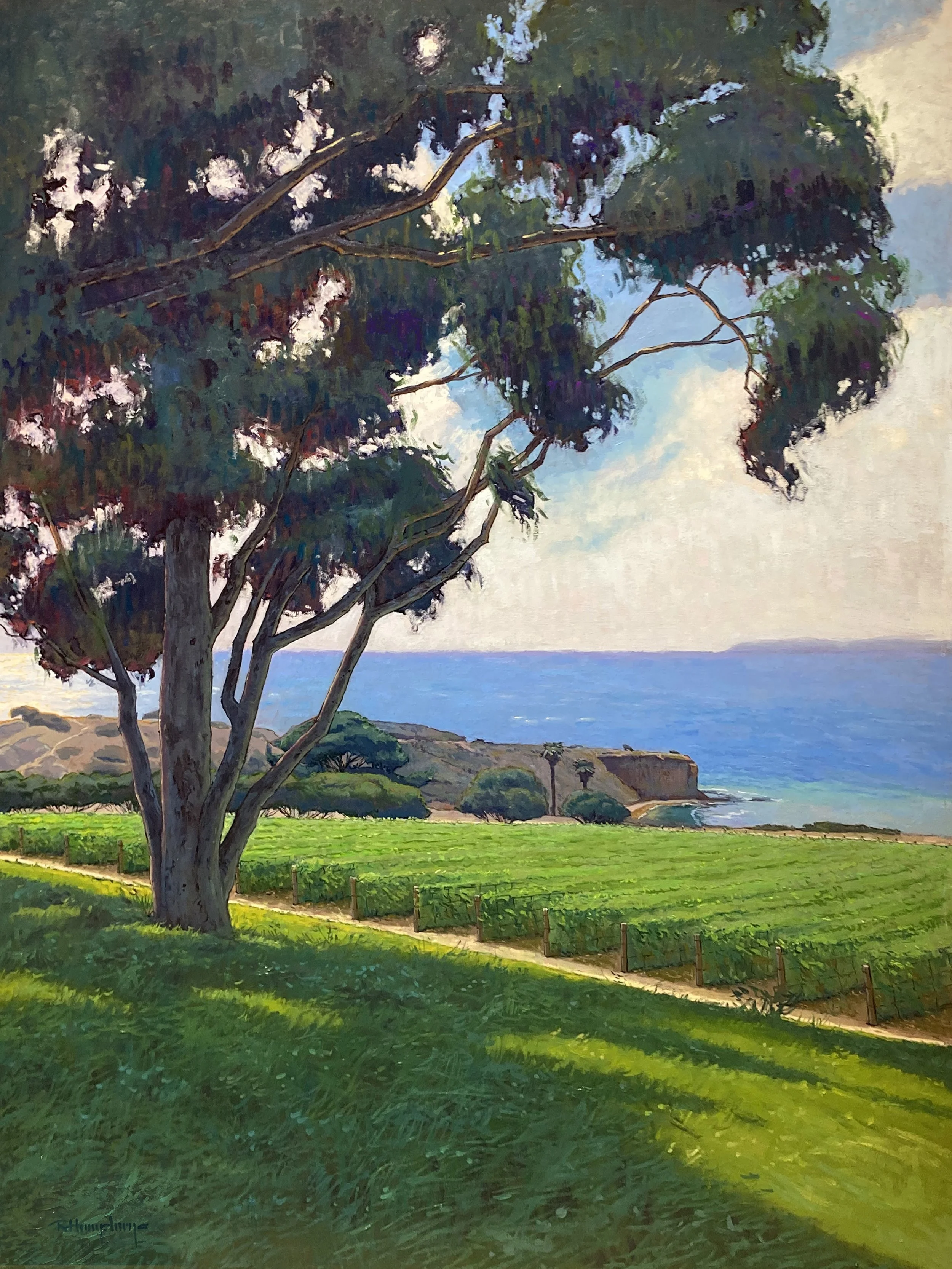 Morning At The Vineyard