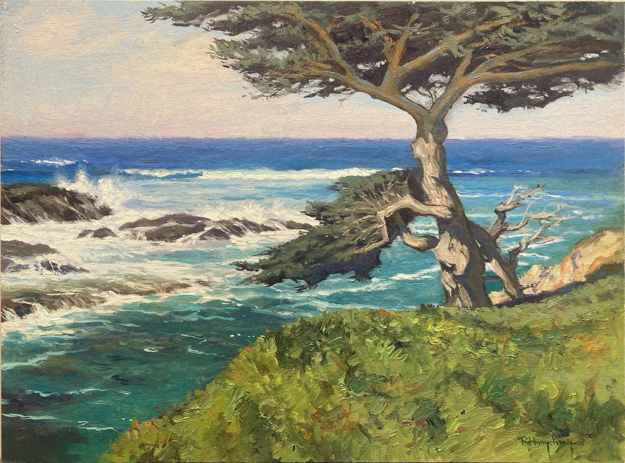Cypress and the Sea