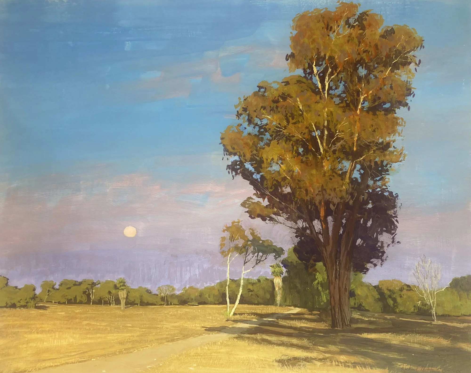 Summer Evening on the Bridle Trail