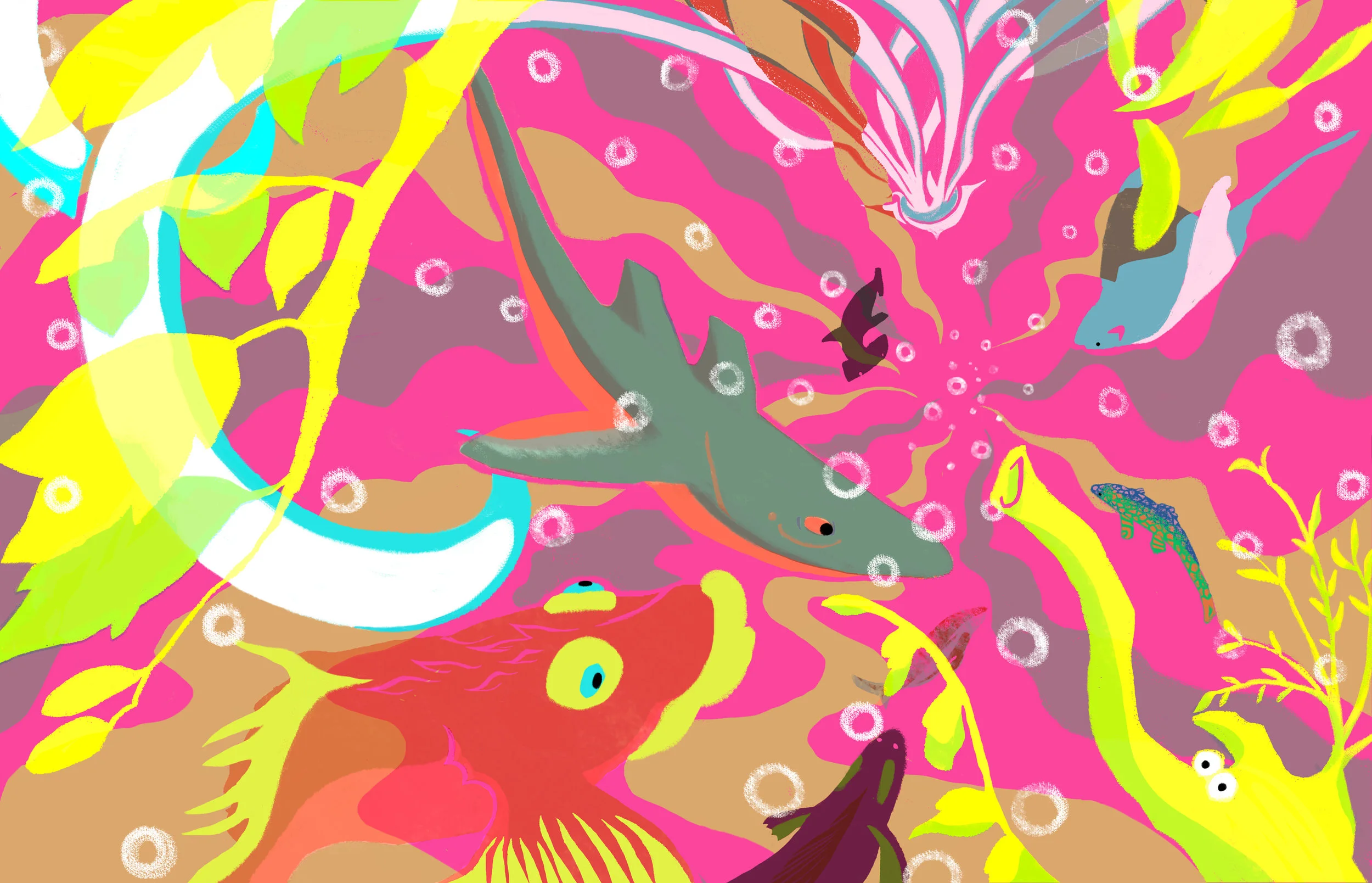 Aquarium