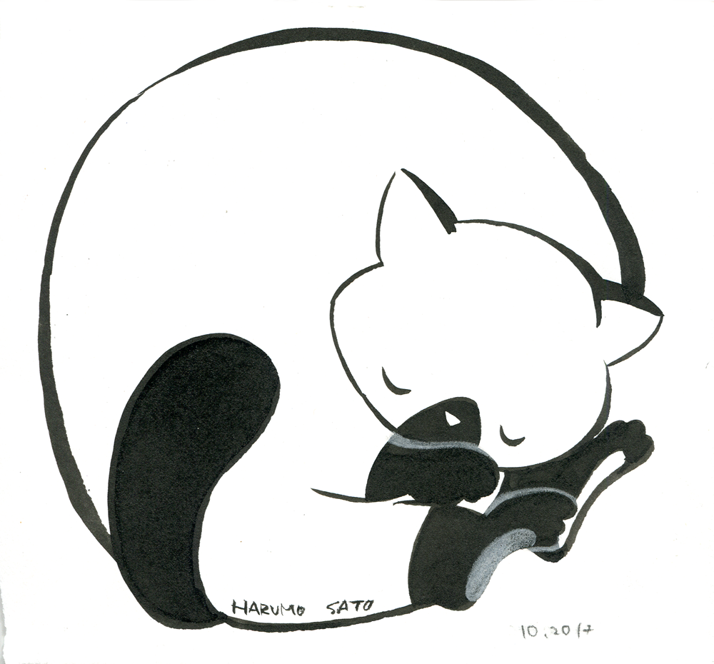 sleeping cat001_small.png