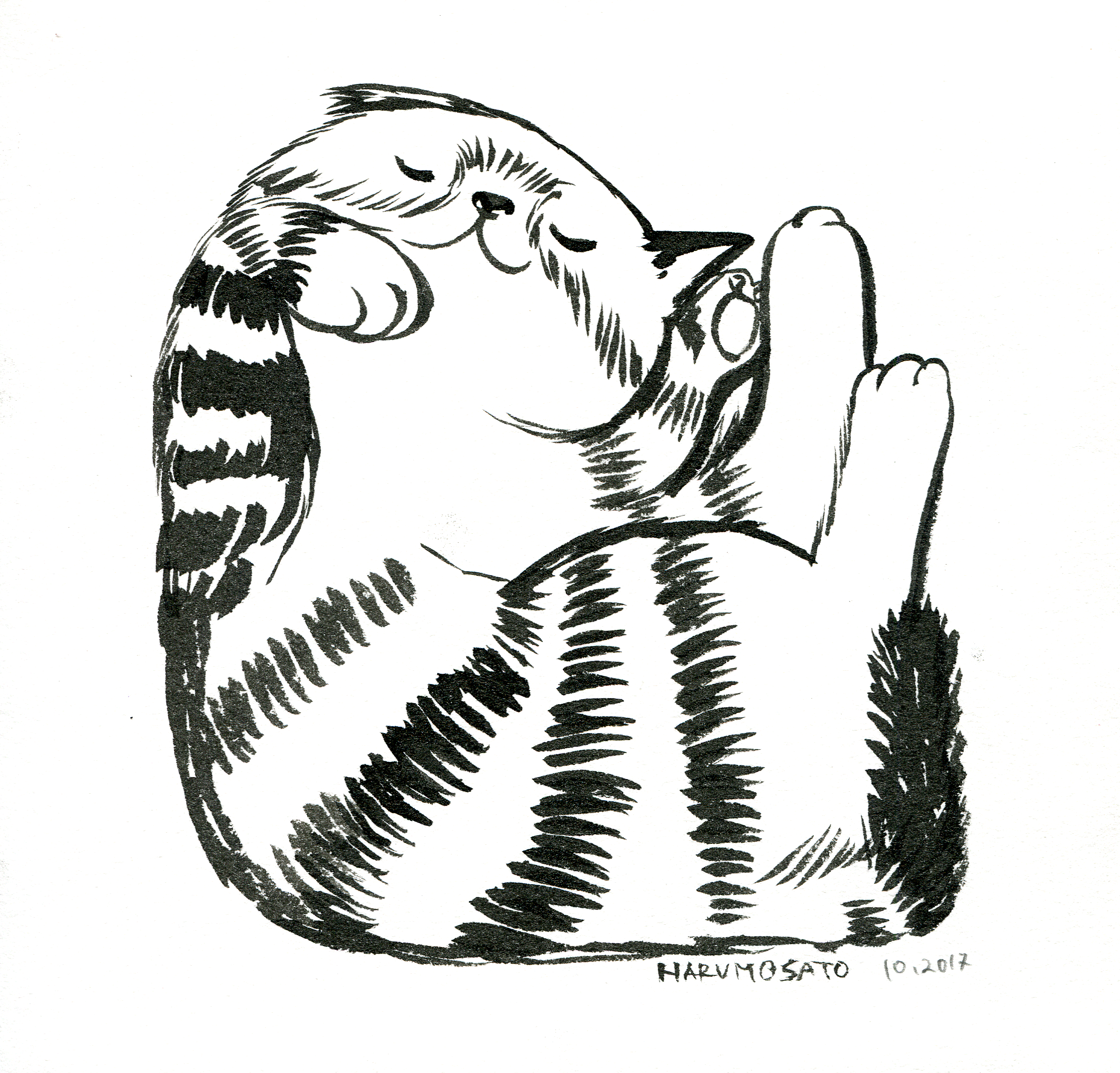 sleeping cat005_small.png