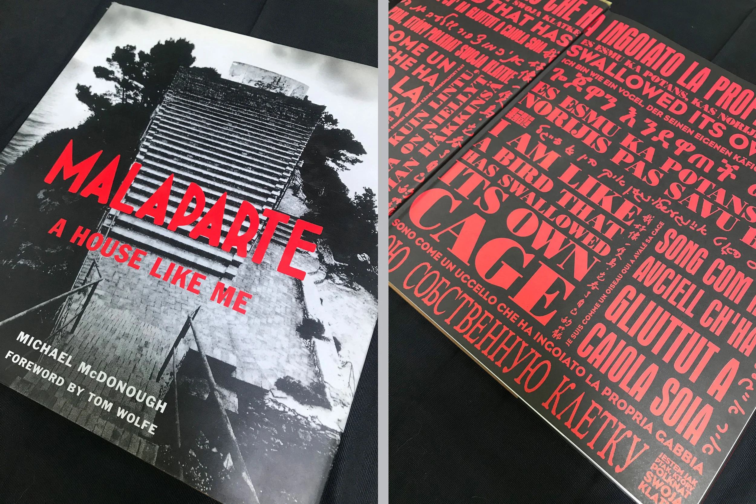 Malaparte-00.jpg