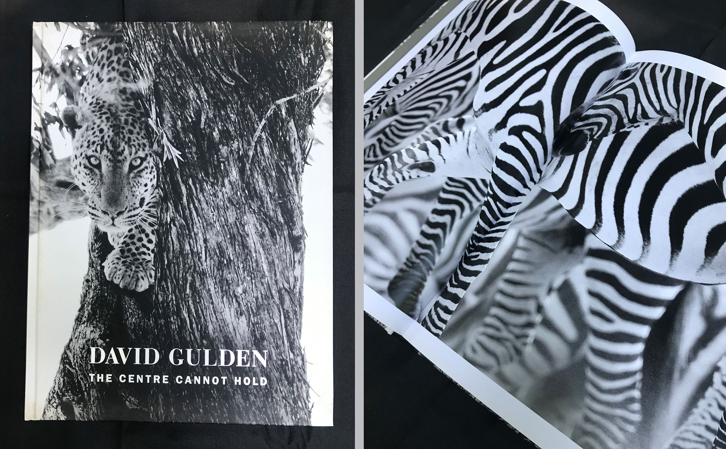 Gulden-00.jpg