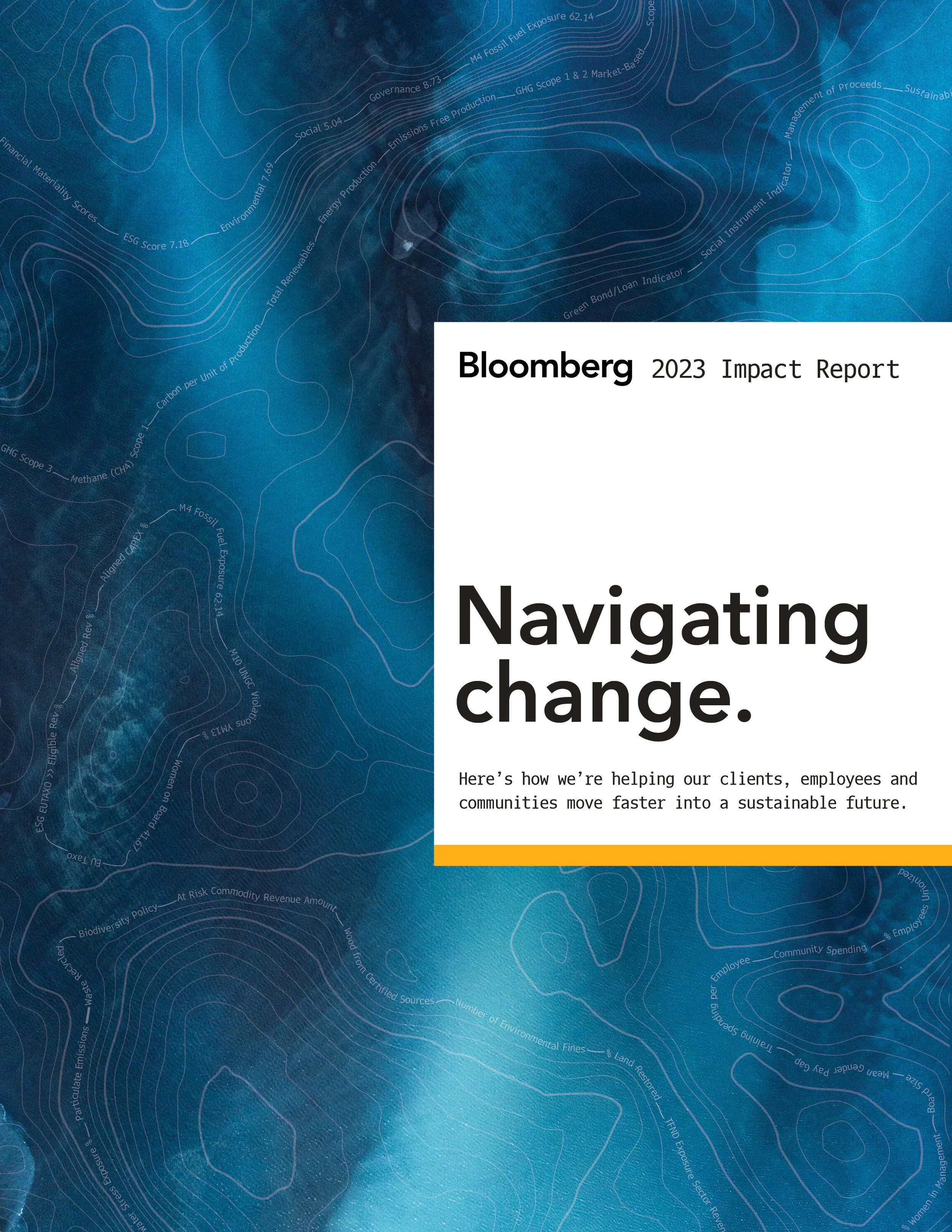 Impact Report Cover-F.jpg
