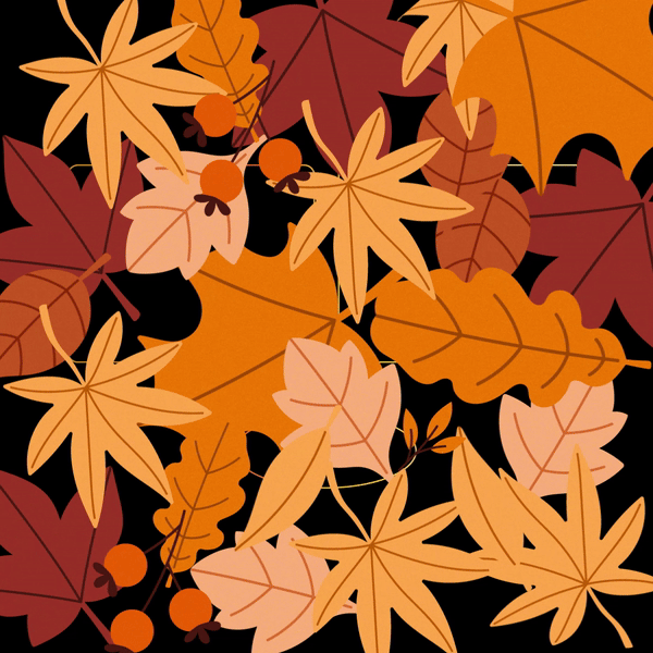 848278_Studio_BLPPosts_Thanksgiving-A-leaves-HY-v01-ezgif.com-video-to-gif-converter.gif