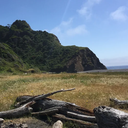 You’ll find the trail to Jackass right where the first ridge line on the left hits the flat - between those two white logs in the distance