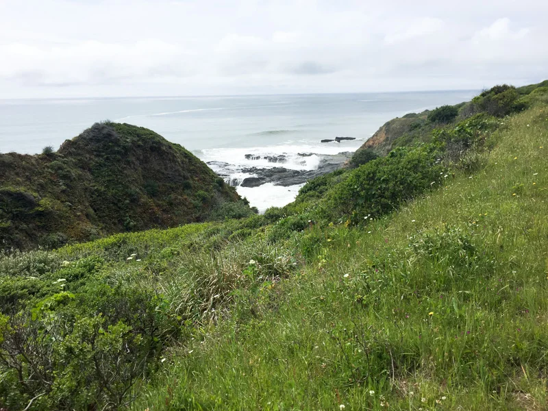 Lost coast.jpg