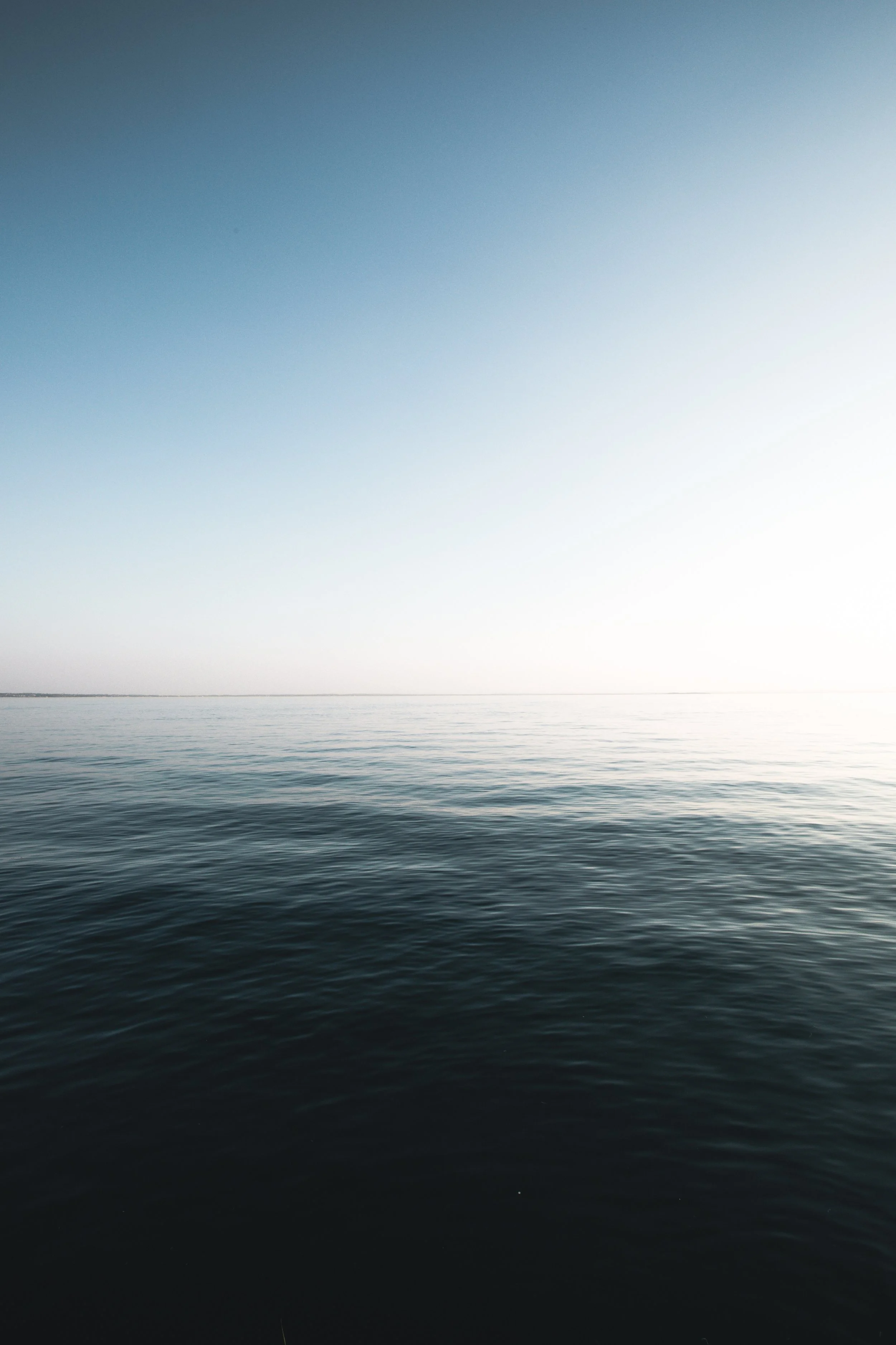 Choosing Peace