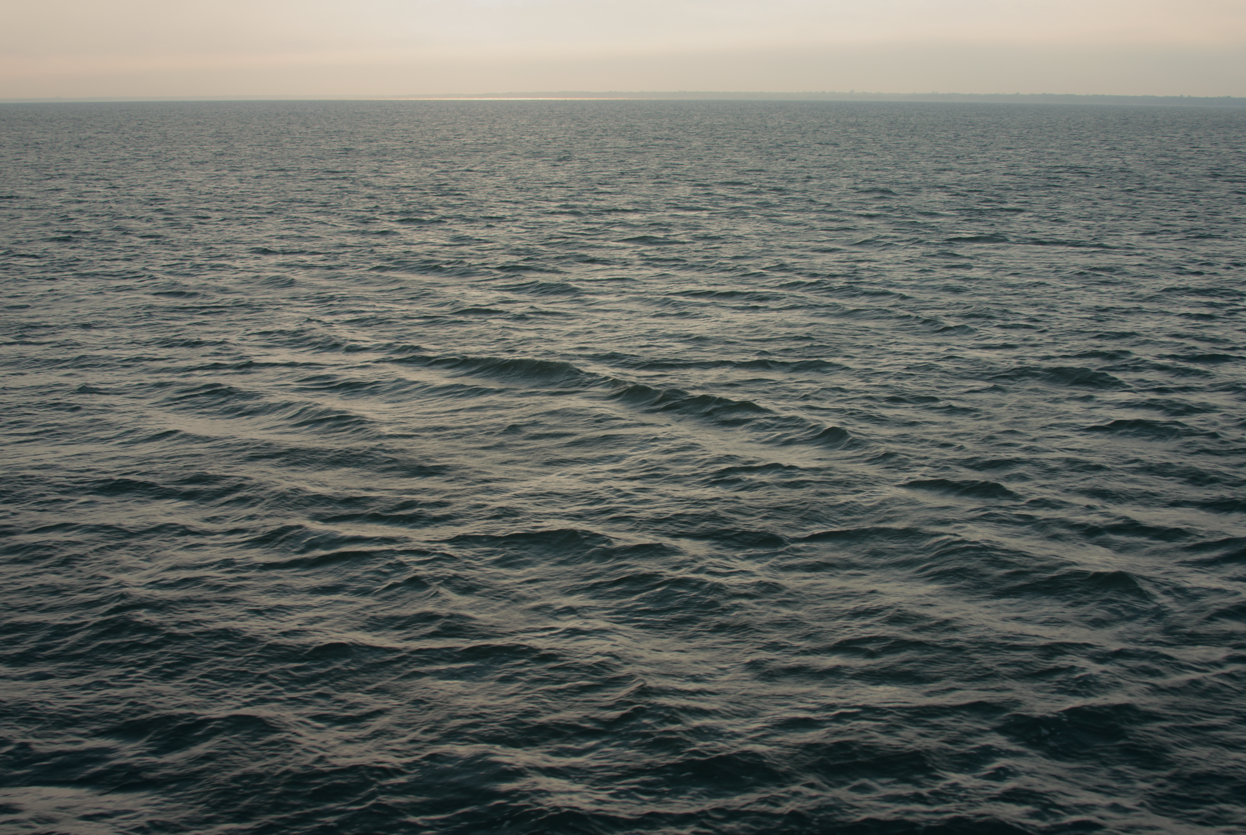 IMG_1474_LG.png