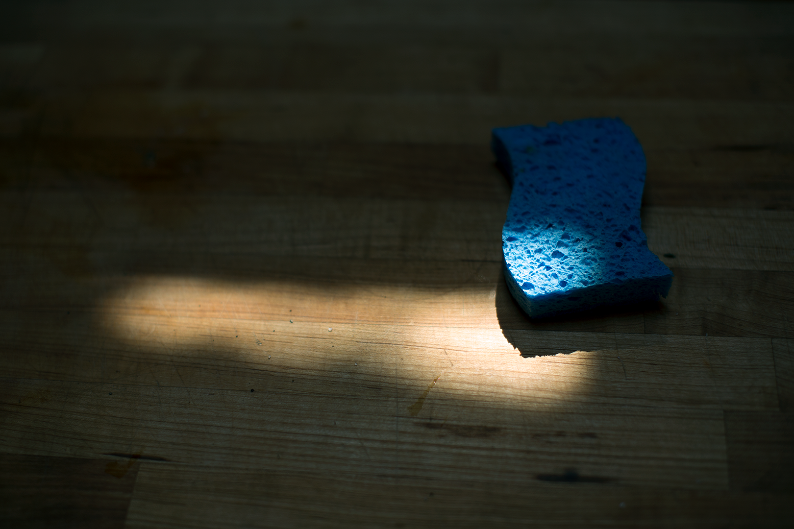 _MG_0357.png