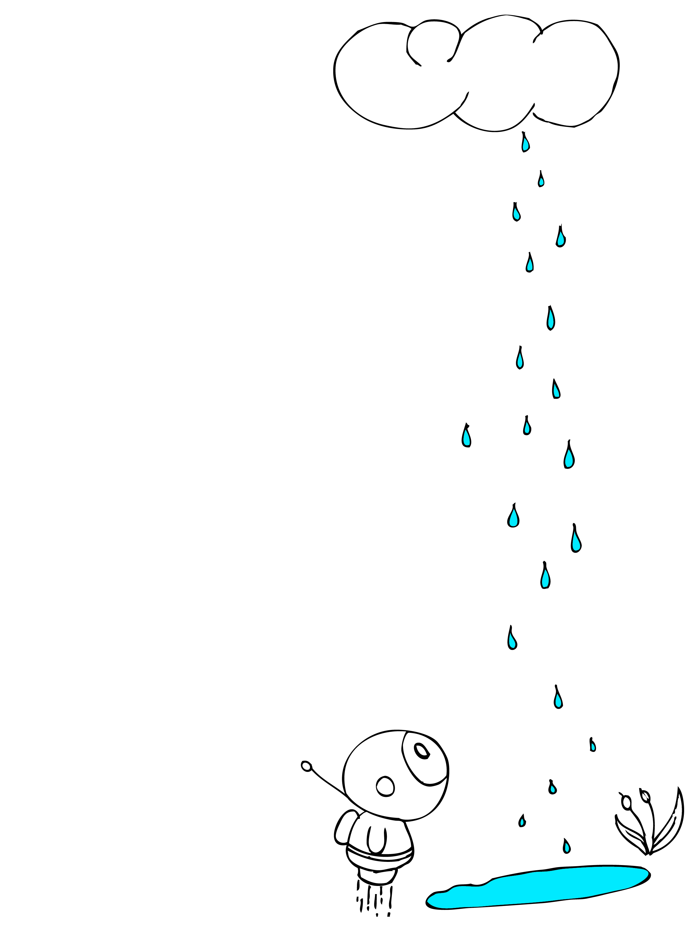 Rain