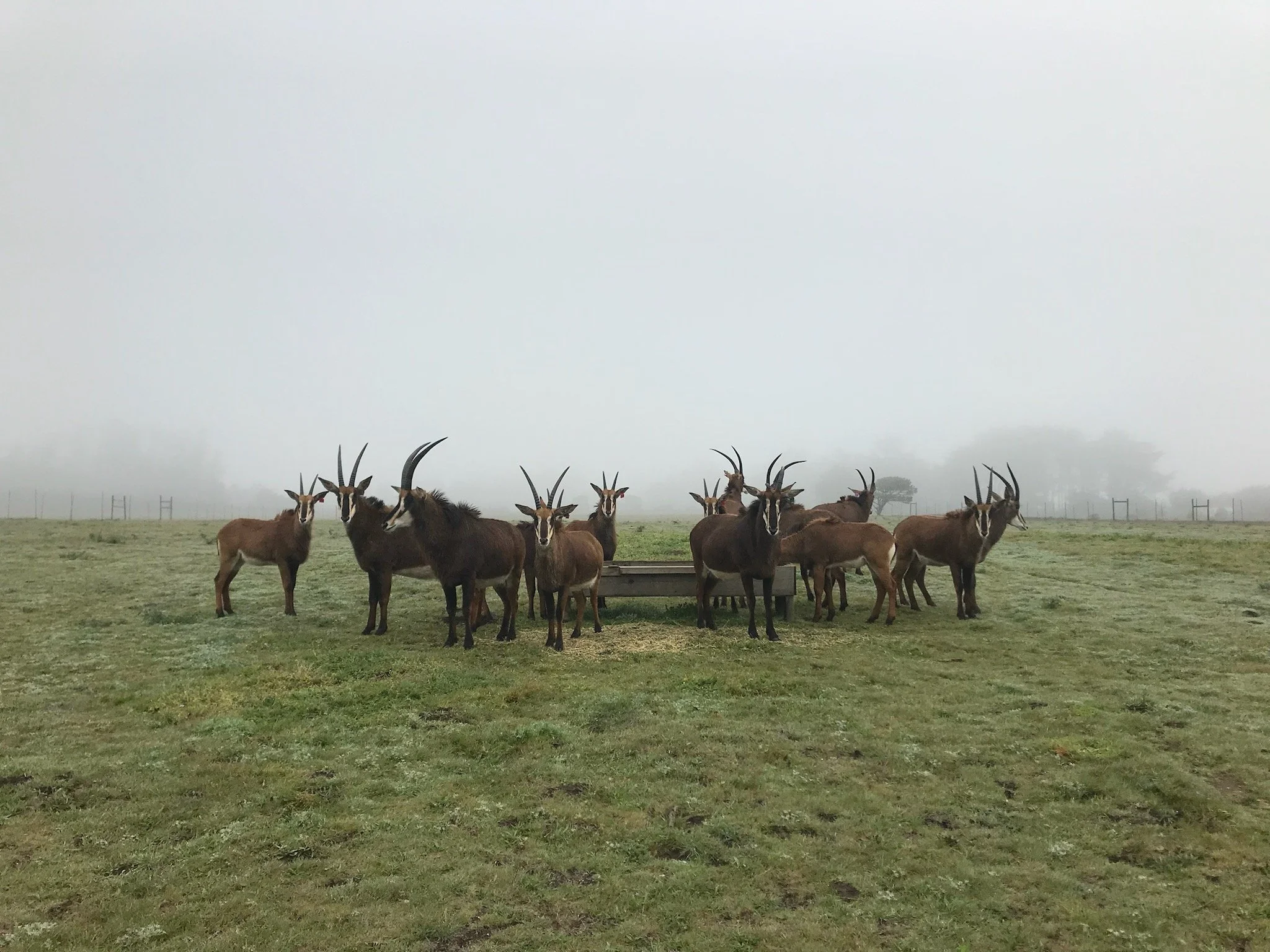 IMG_1605.jpeg