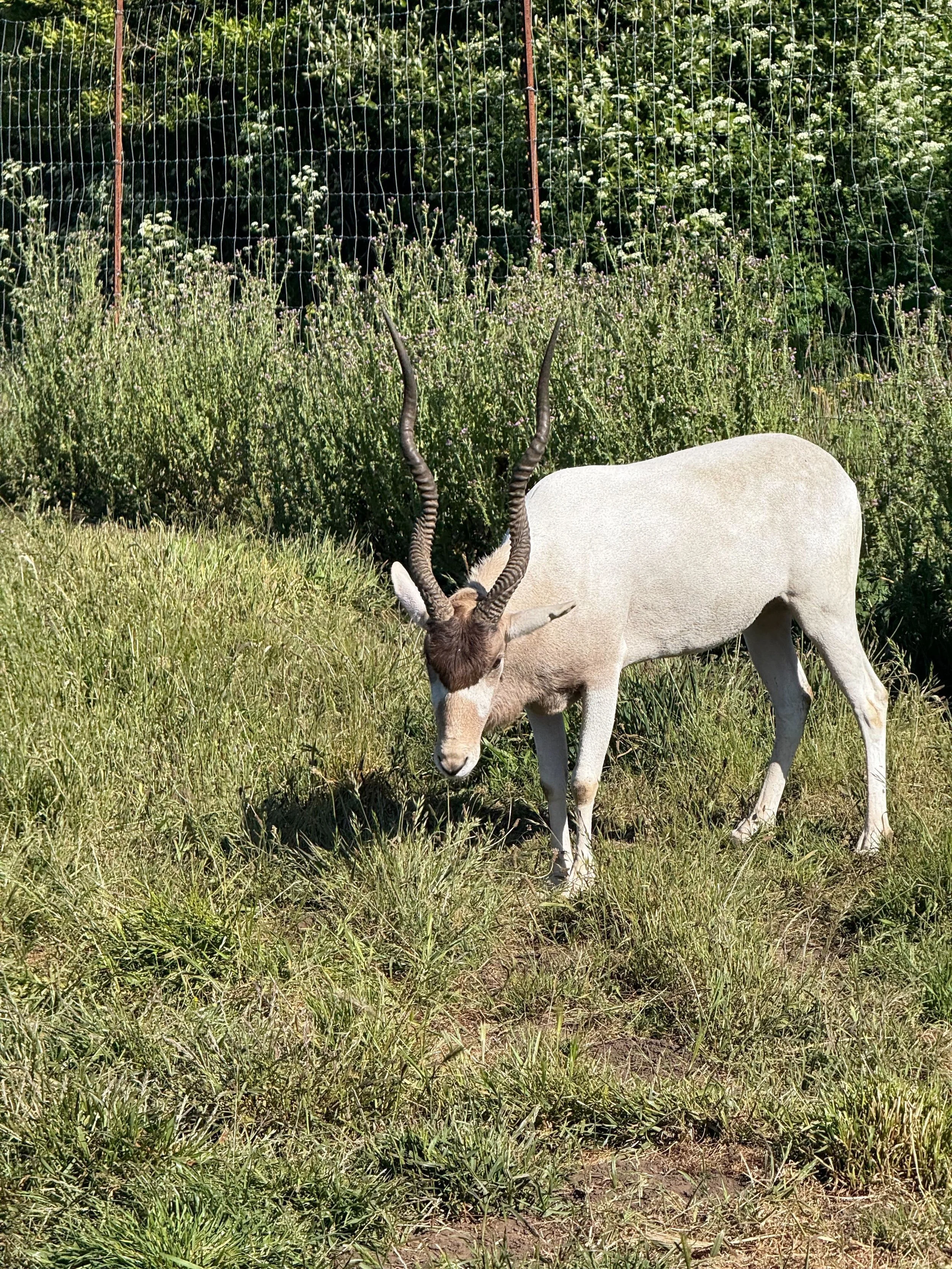 Image from iOS (7).jpeg