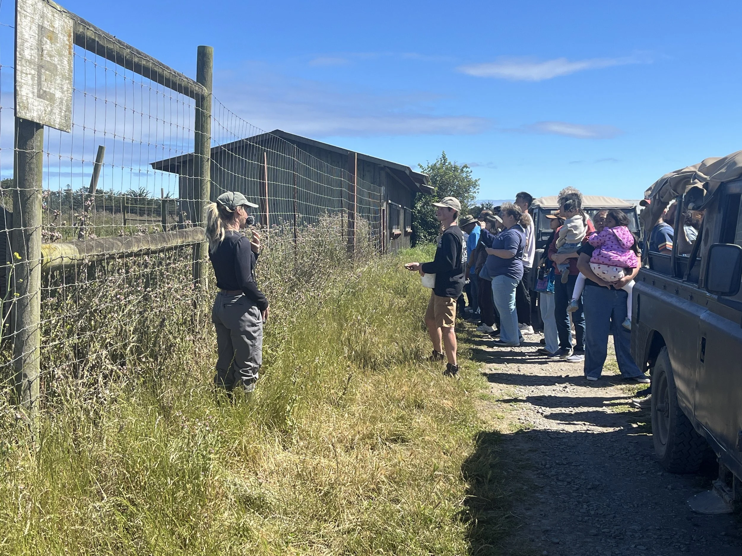 A group of people standing outdoors beside a fence, observing towards a building in a rural area on a sunny day with a bright blue sky.