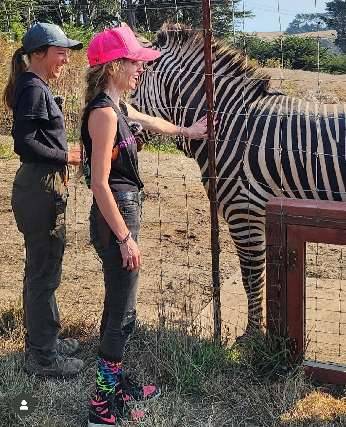 Two women are standing near a zebra in an outdoor enclosure, touching the zebra through a wire fence. Both women are smiling and appear happy.