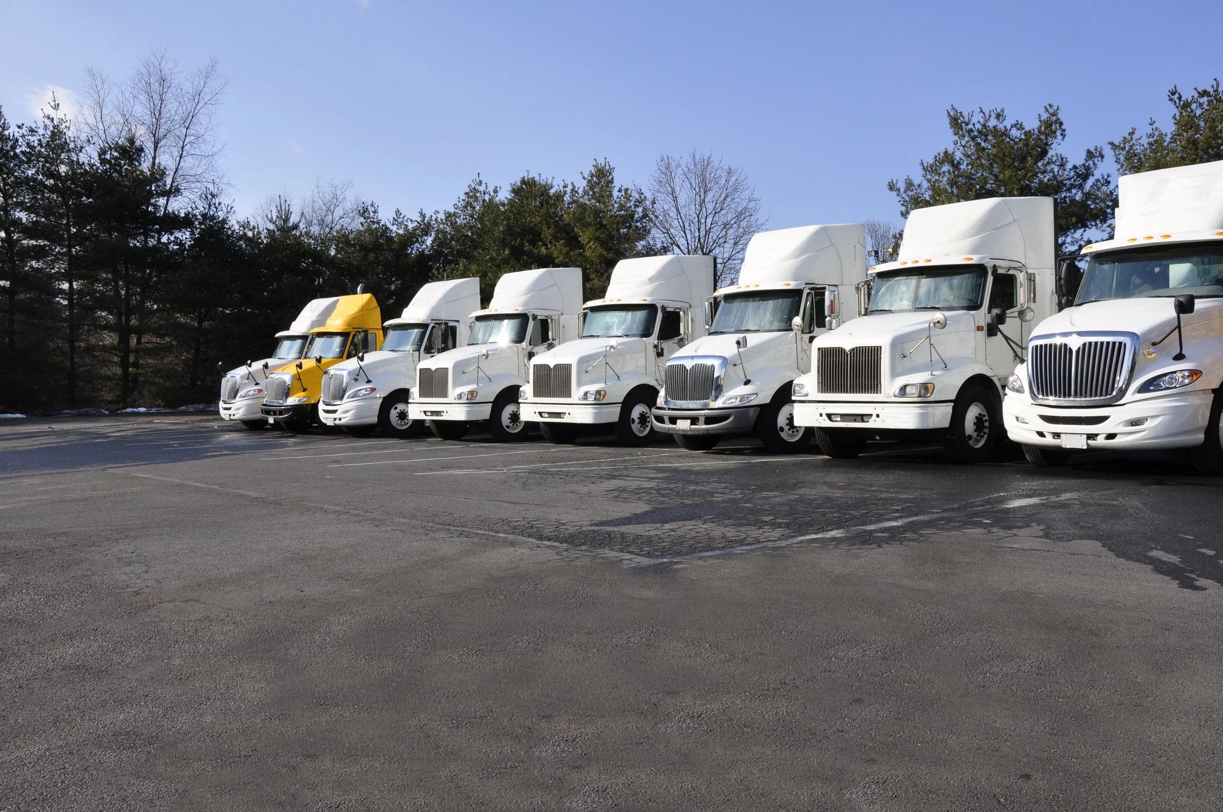 Why Businesses Rely on Professional Truck Rental Services