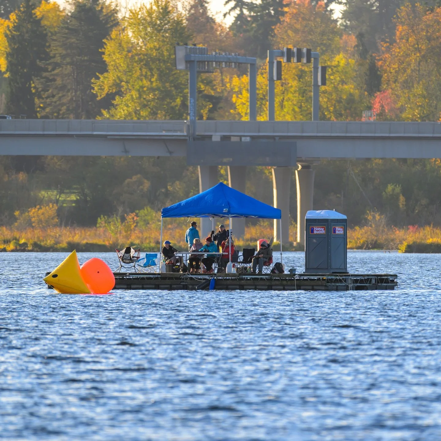 I need a setup like this for my bird photography