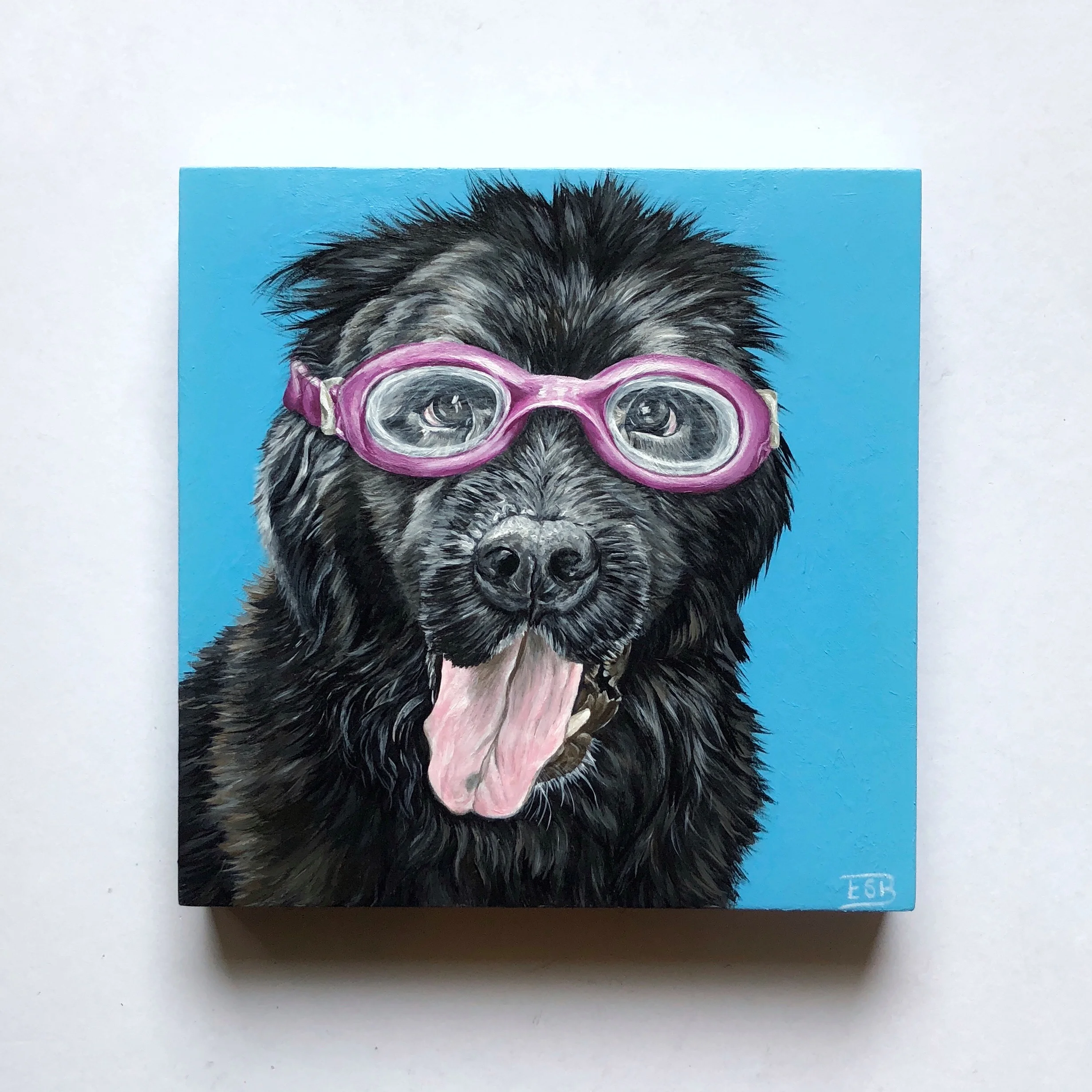 Custom acrylic dog portrait of a black Newfoundland dog wearing goggles on wood panel by Emma Sage Fine Art, Los Angeles.