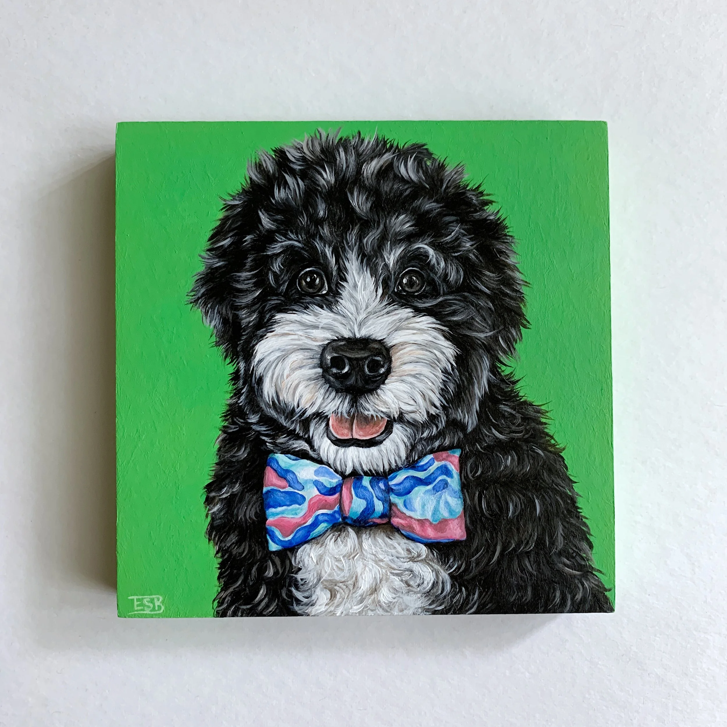 Bernedoodle in bowtie.JPG