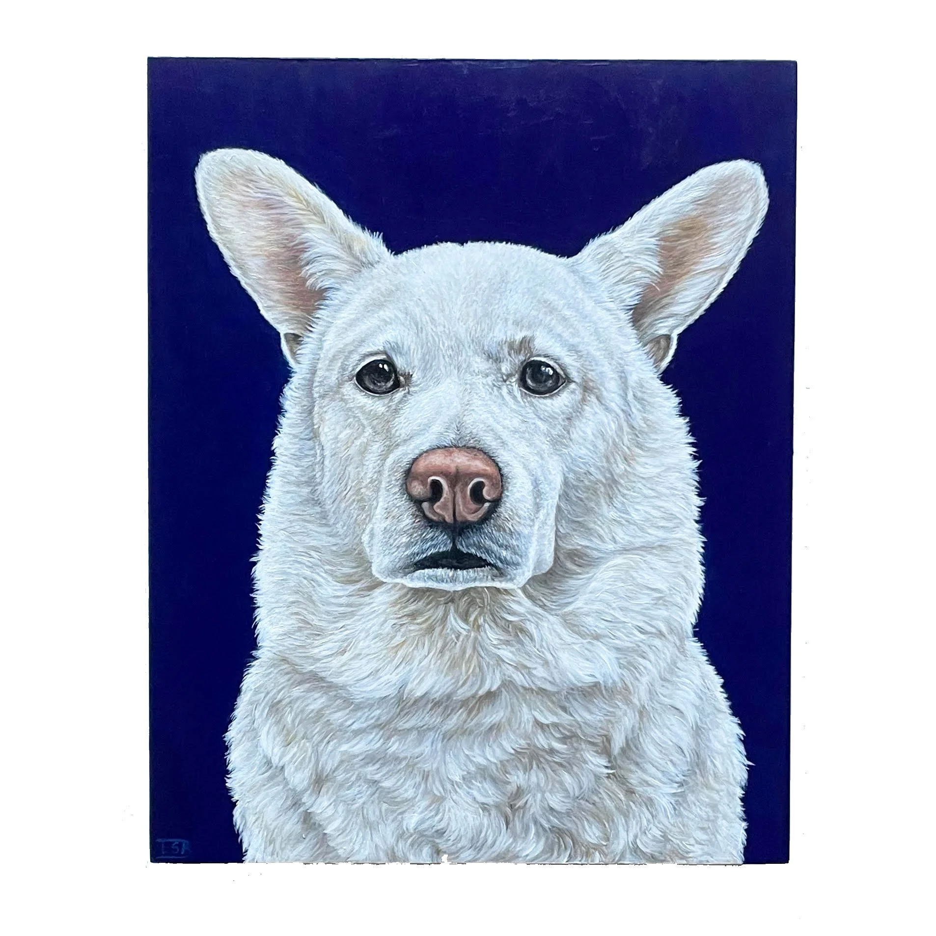 Custom acrylic dog portrait of a white dog on wood panel by Emma Sage Fine Art, Los Angeles.