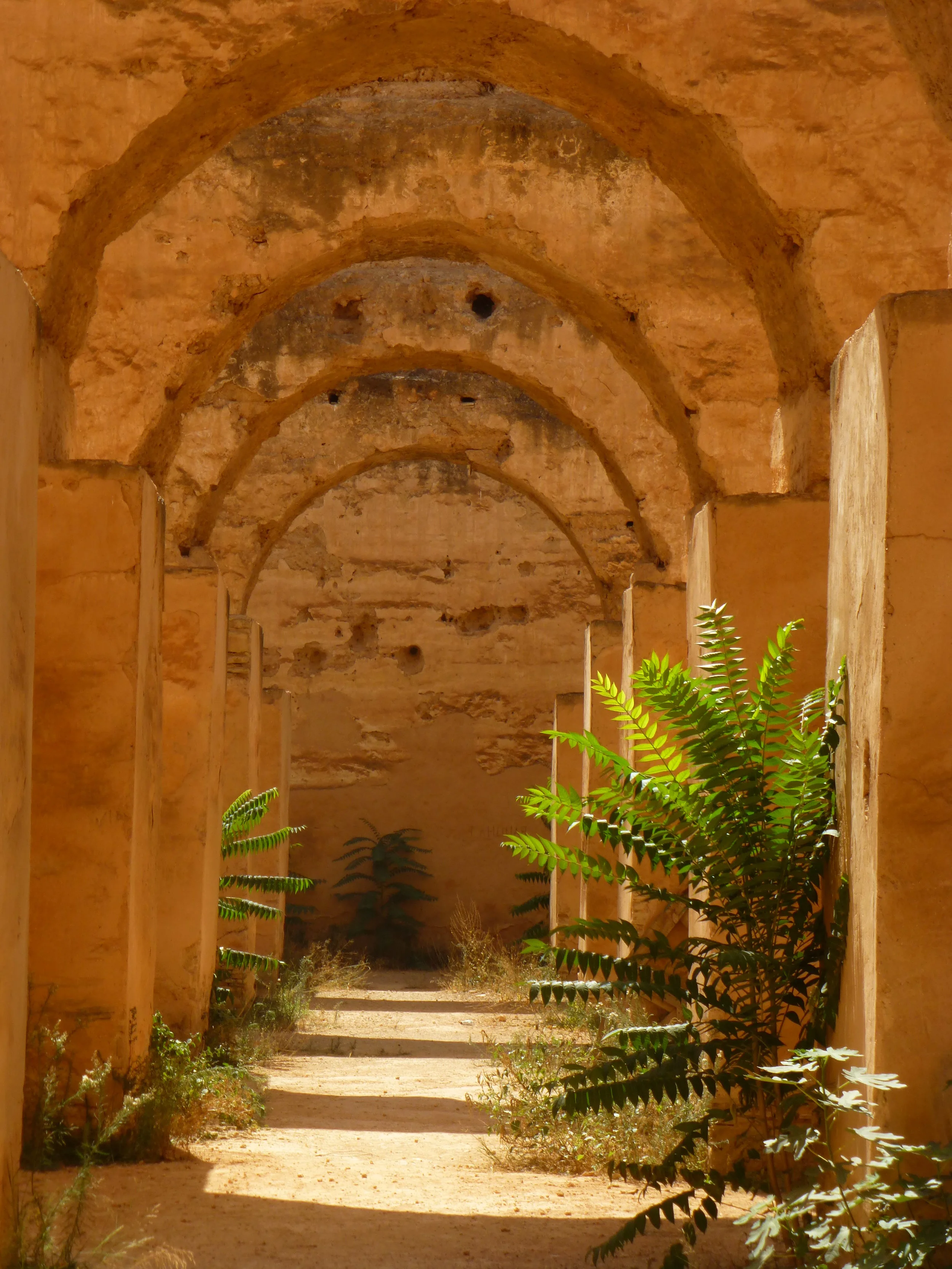 Morocco_Sept2016 404.JPG