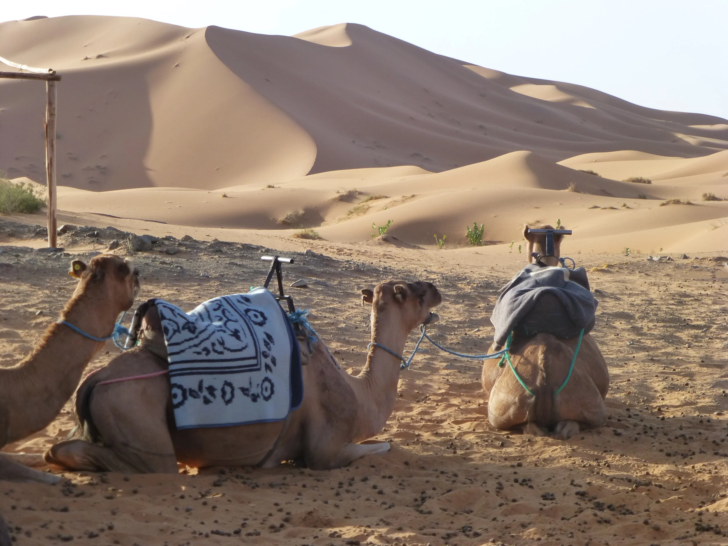 Morocco_Sept2016 522.JPG