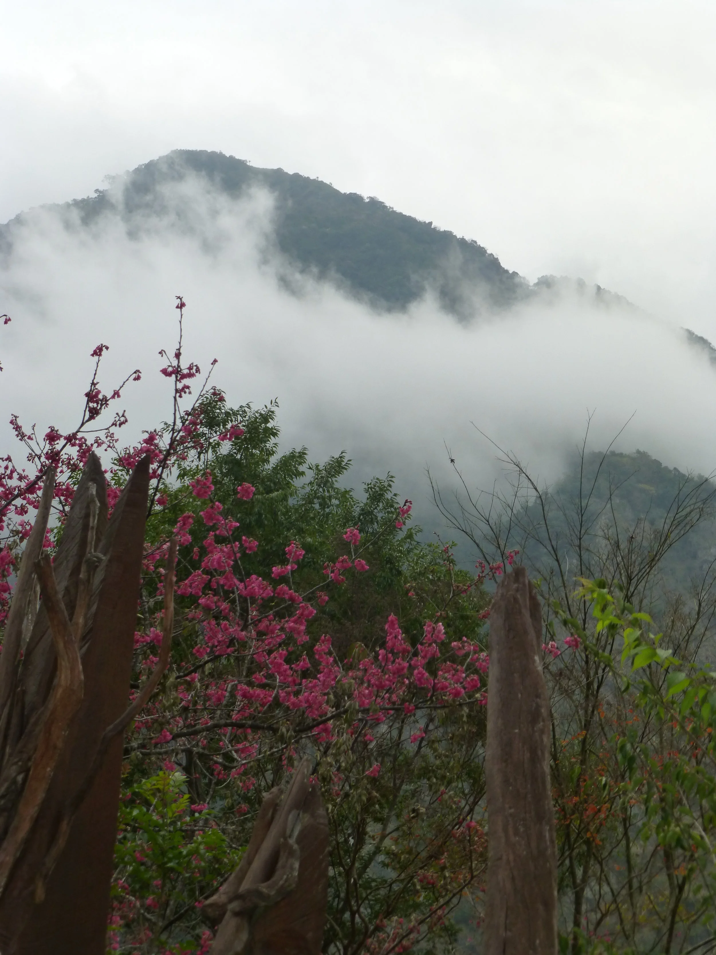 Taiwan_JanFeb2015 228 - Copy.JPG