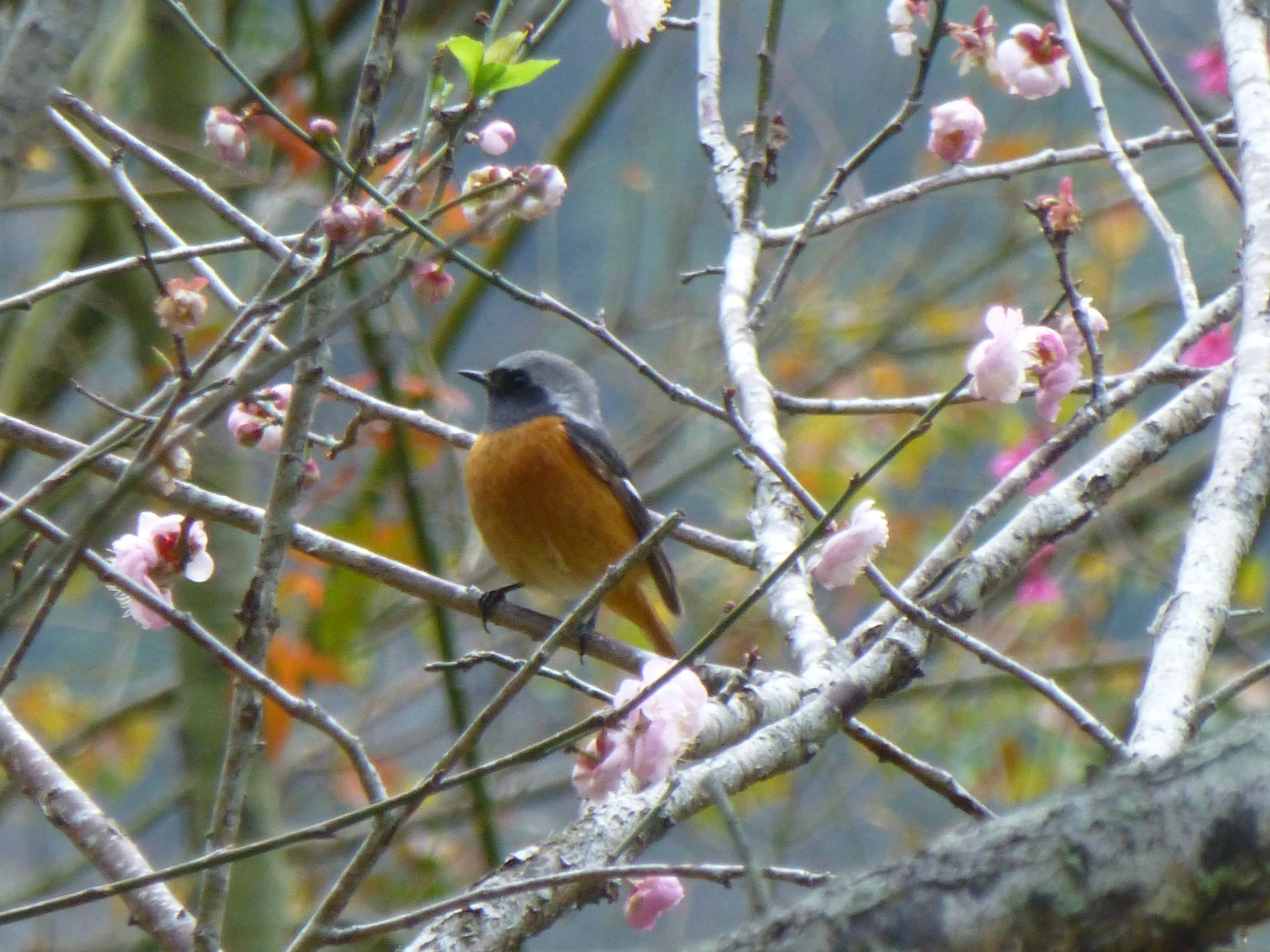 Taiwan_JanFeb2015 243 - Copy.JPG