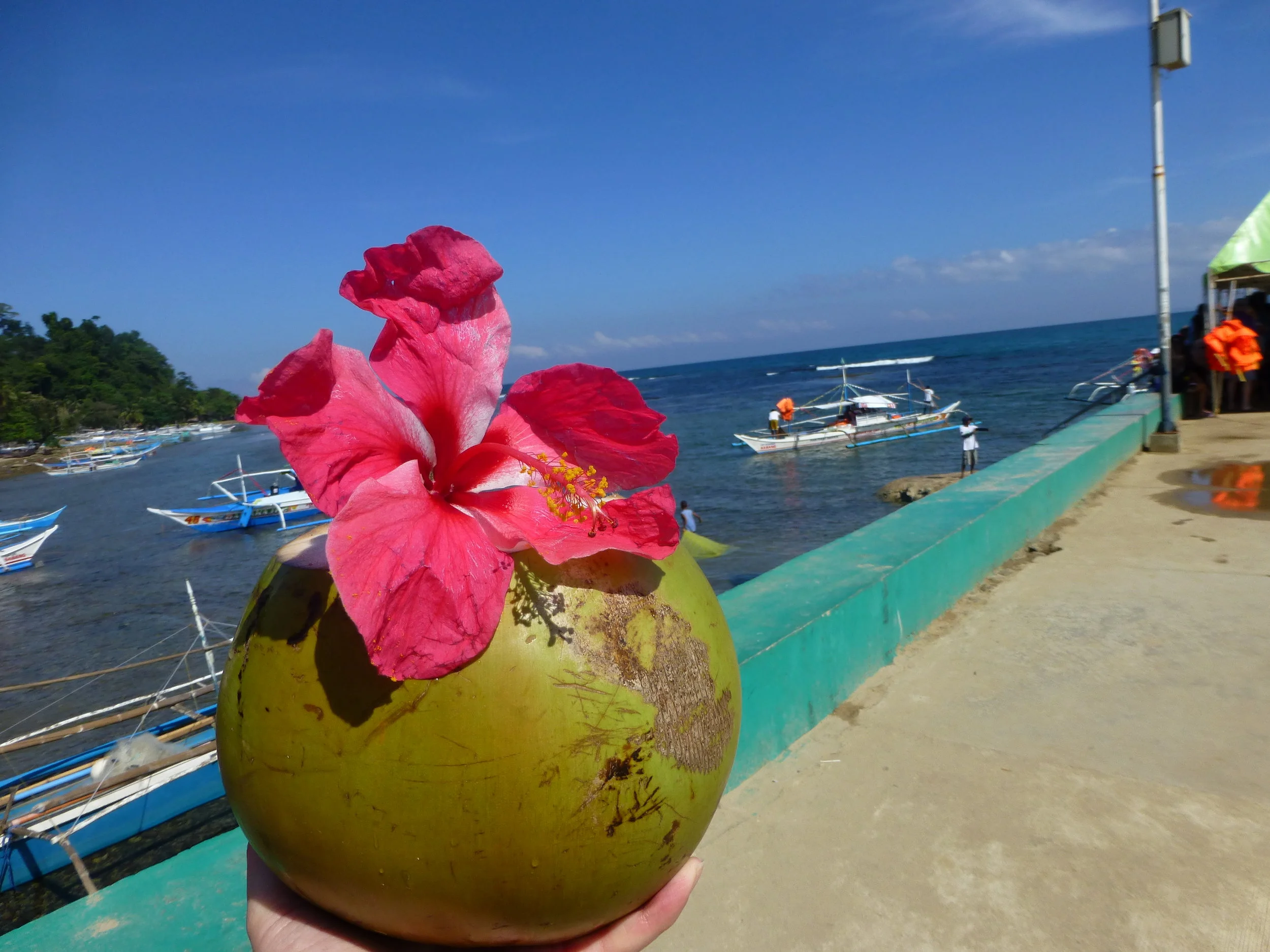 Taiwan_JanFeb2015 362 - Copy.JPG