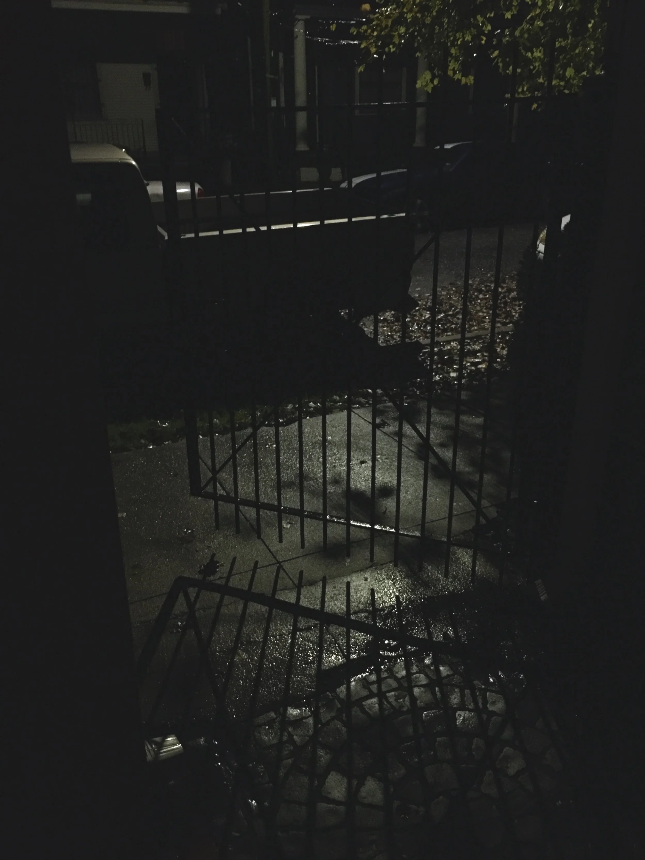 Midnight NOLA pic.JPG