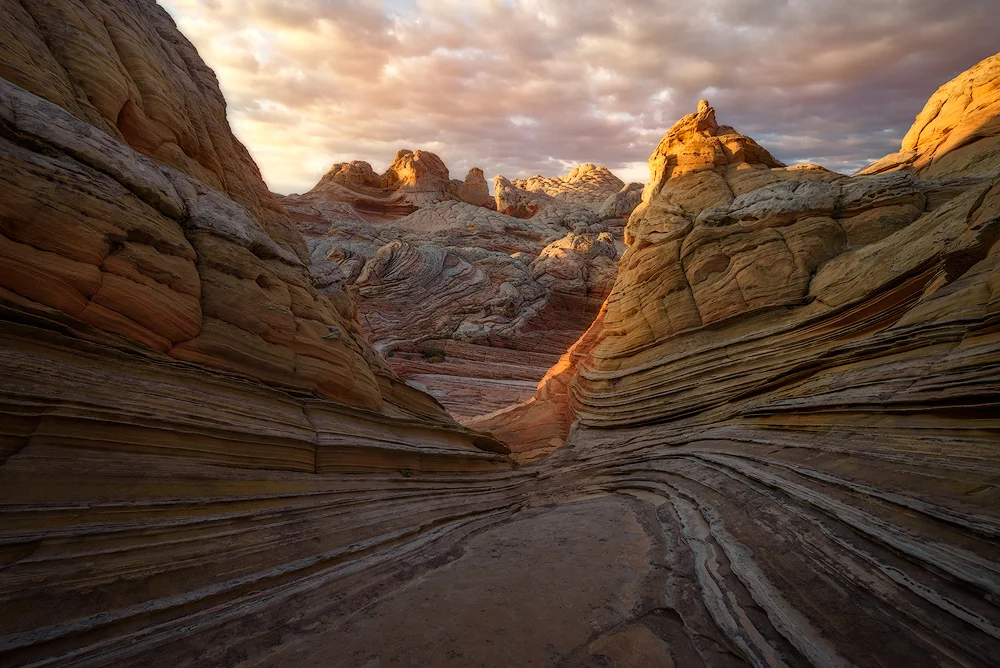 Striations III