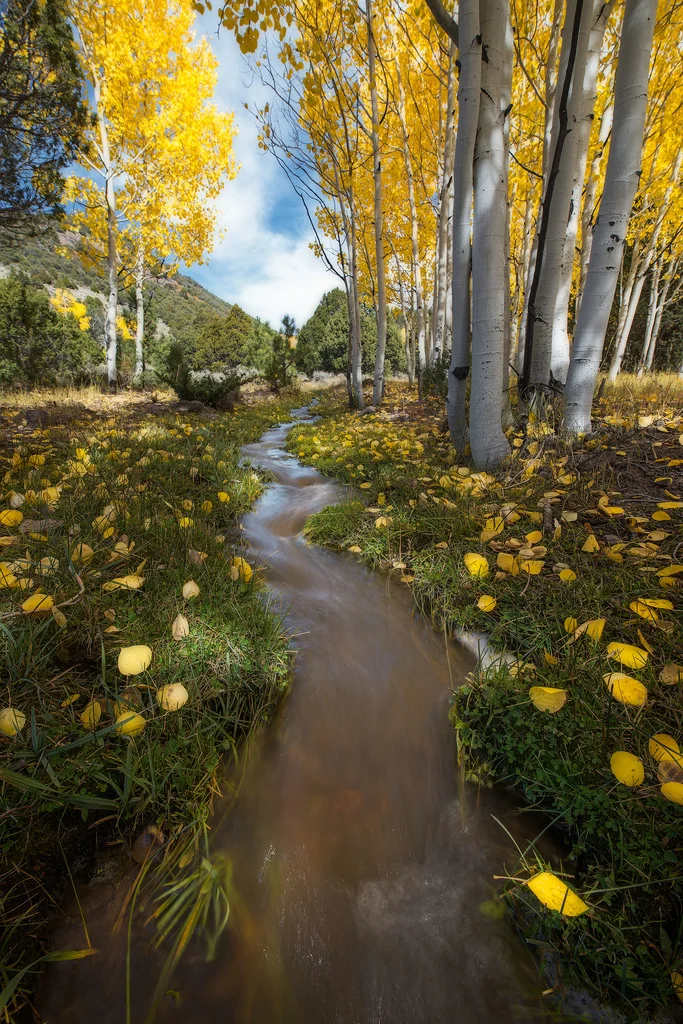 Parowan