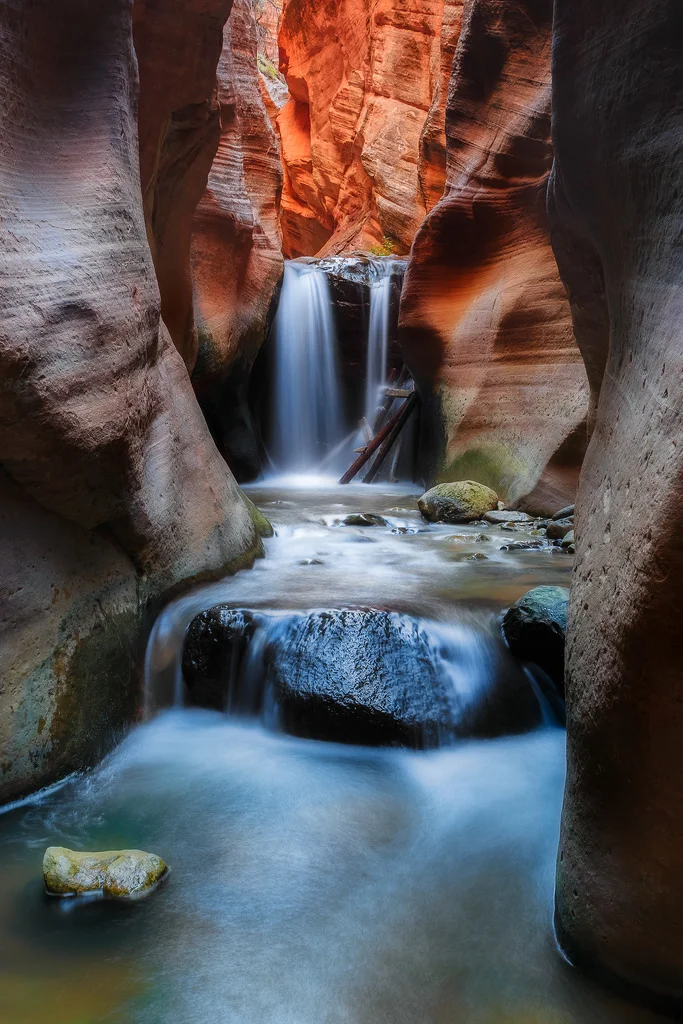 the drop
