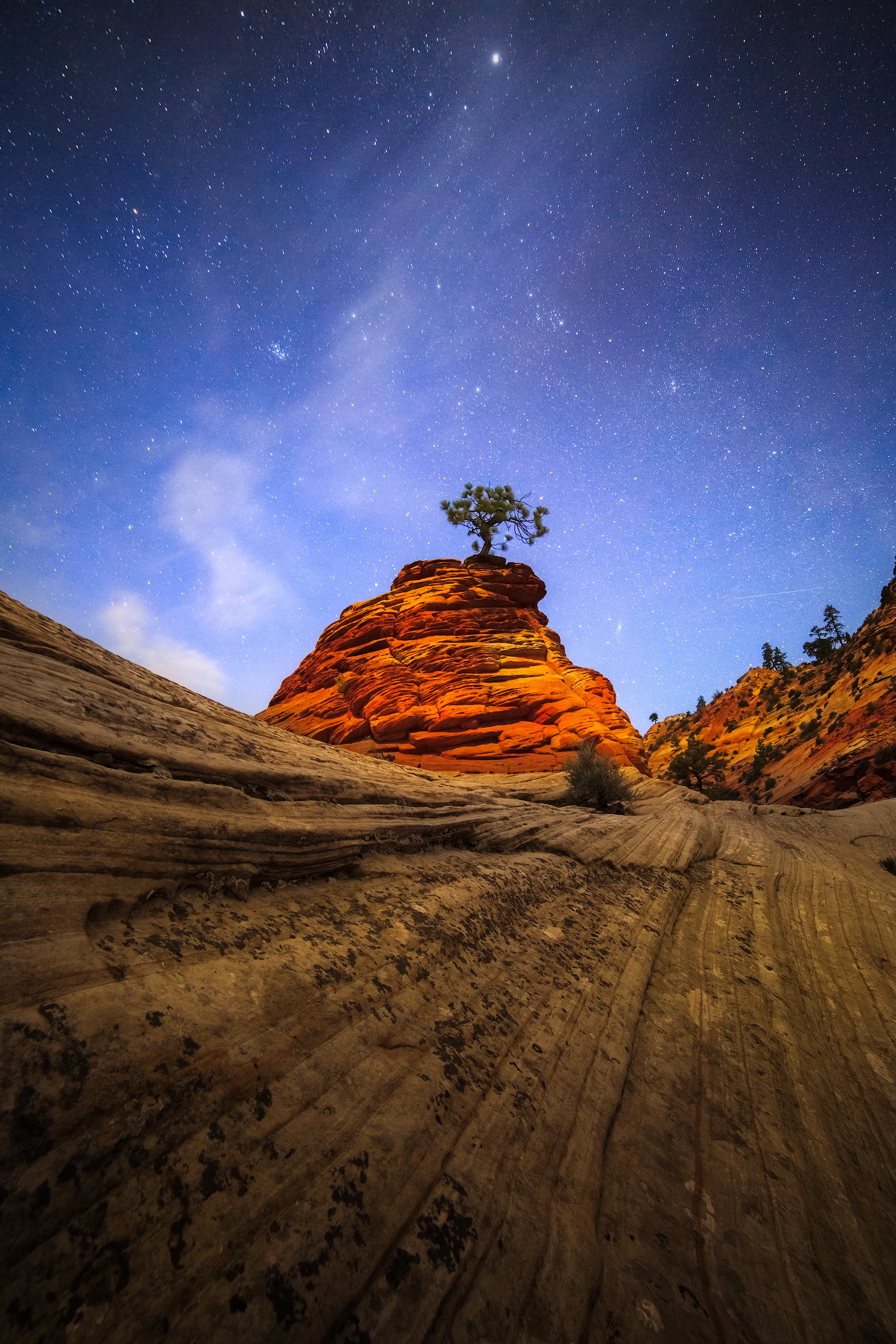 Pinyon