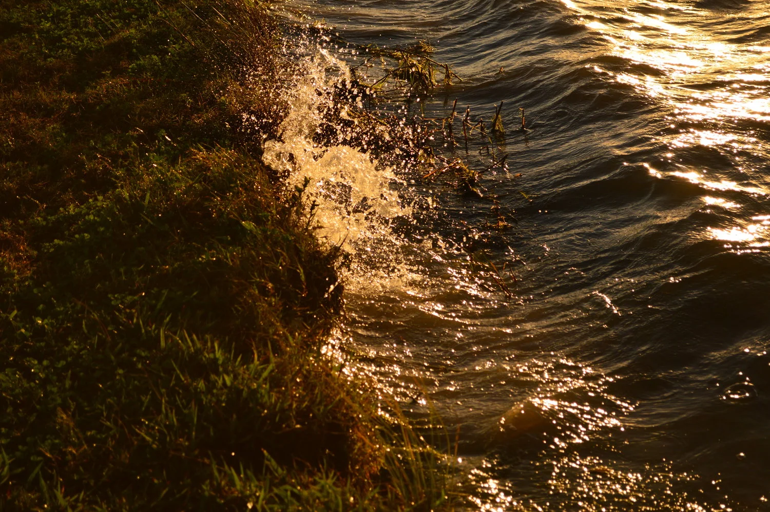 DSC_1877.jpg