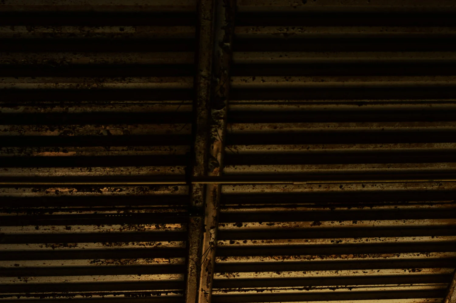 Ceilings.jpg