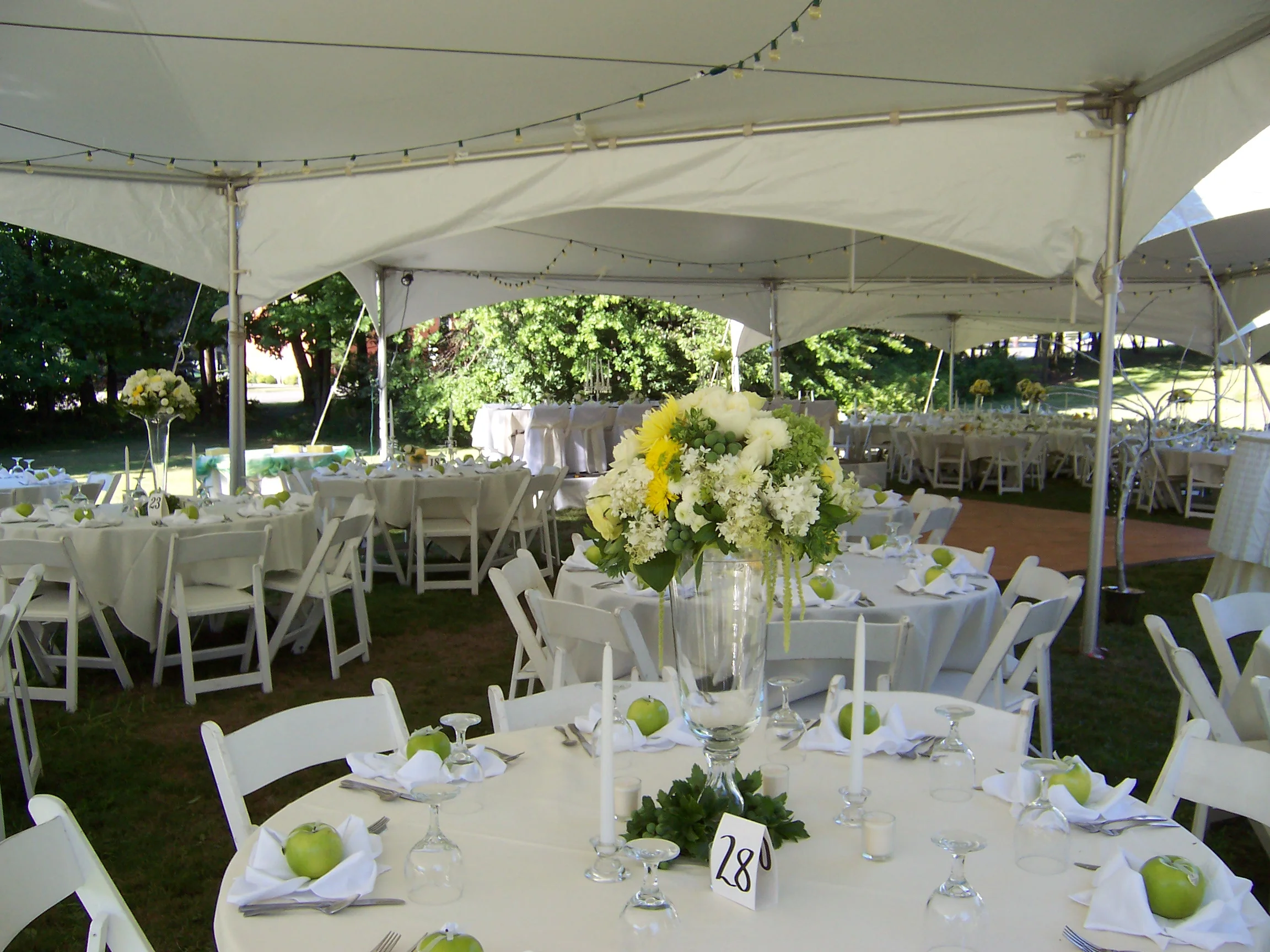 eze-party-rental-wedding-reception-table-rentals-tent-cost-decoration-tents-for-rent-prices-linens-tablecloth.jpg